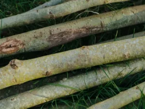 Fett an der Dunstabzugshaube lösen – Hartnäckige Fettablagerungen effektiv und materialschonend entfernen