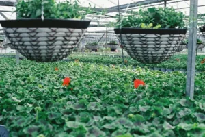 Flowerpot VP9 Anleitung auf Deutsch – Flowerpot VP9 richtig montieren und verwenden: Deutsche Anleitung und praktische Hinweise