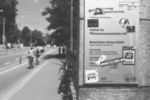 Matratze einrollen – Anleitung – So lässt sich eine Matratze möglichst platzsparend einrollen und transportieren