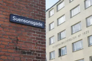 Mauerrisse sanieren – Anleitung – Risse Beurteilen, Vorbereiten und Fachgerecht Ausbessern