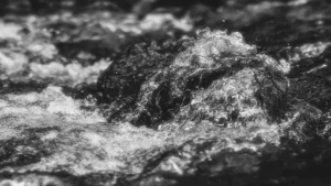 SodaStream Probleme – Häufige Defekte, Ursachen Und Einfache Lösungen Für Wassersprudler