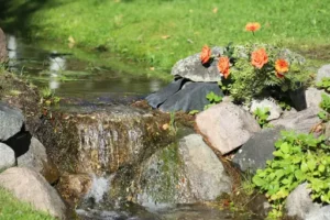 Wassersäule mit Fischen – Anleitung – So lässt sich eine dekorative Wassersäule mit künstlichen Fischen einrichten und pflegen