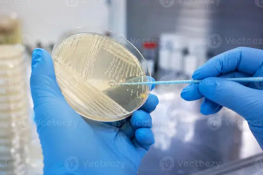 Wie entstehen Legionellen in der Wasserleitung? Unter welchen Bedingungen vermehren sich Legionellen in Wasserleitungen und wie lässt sich das Risiko reduzieren?