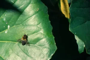 Wie lange muss Putz trocknen vor dem Fliesen? Welche Trocknungszeit Putz benötigt und wann mit dem Verlegen von Fliesen begonnen werden kann